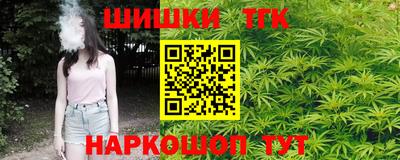 прущие грибы Будённовск