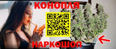прущие грибы Будённовск