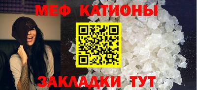 крисы Славгород