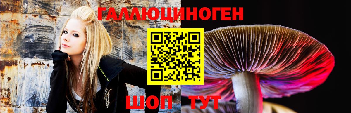 Псилоцибиновые грибы Cubensis  Псилоцибиновые грибы ЛСД  Приморско-Ахтарск  Вход с VPN 